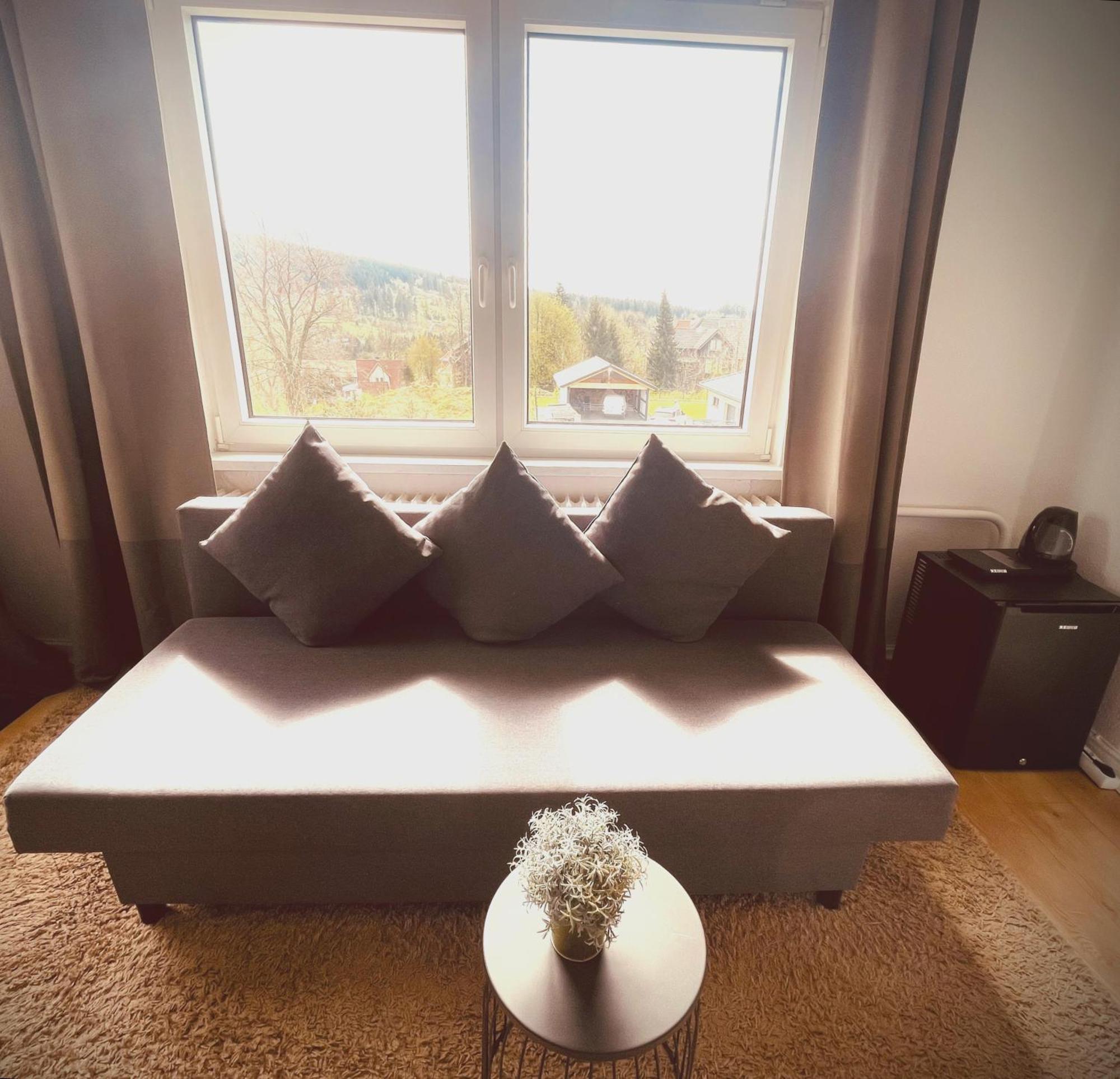 Berghotel Harz Goslar Dış mekan fotoğraf